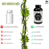 OPC Traubenkernextrakt